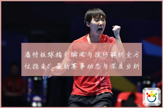 潘特板球精彩瞬间与技巧解析全方位指南：最新赛事动态与深度分析